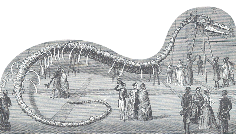 crocodile in the museum